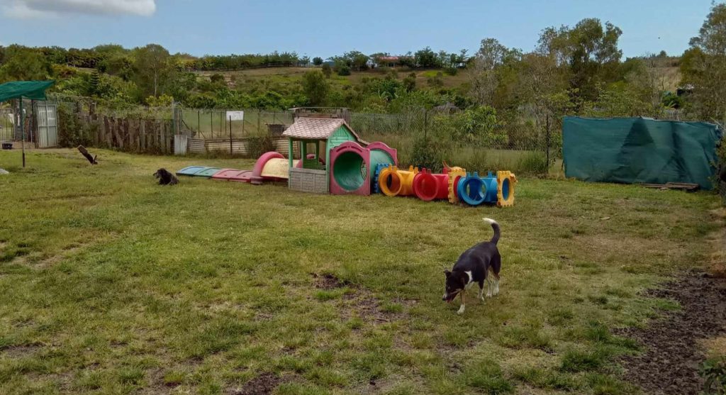 Parc de défoulement