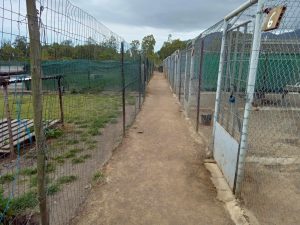 Pension chien – Court séjour (2 à 54 jours)