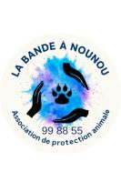 La bande a Nounou