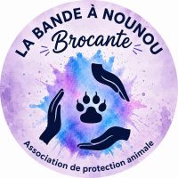 La bande a Nounou Brocante